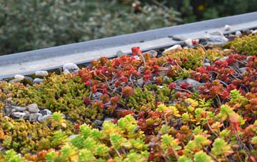 the cost of Artrea green roof installation