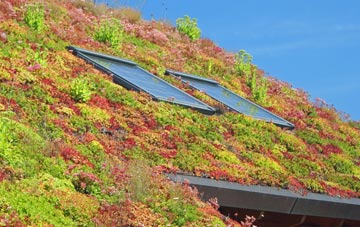 Artrea living roof systems