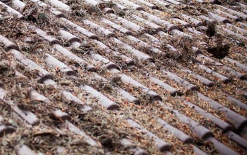 Artrea roof cleaning companies