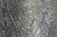 Artrea fibreglass roof work